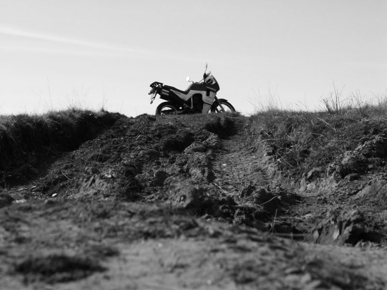 p4293431.jpg