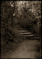 alva path