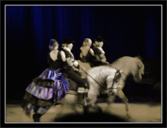 p6172525 copy