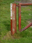 p7162811 copy