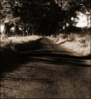 p7162834 copy