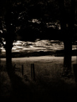p7162835 copy