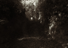 path