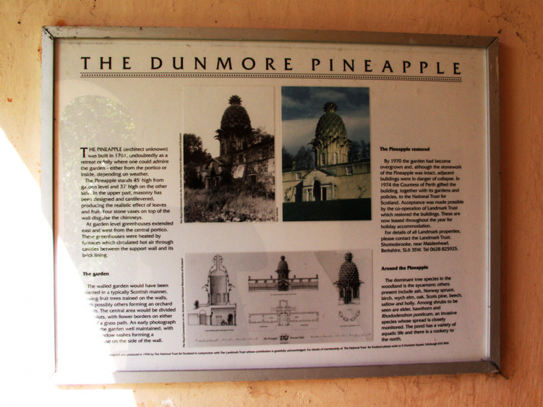 pineapple.jpg