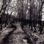 path