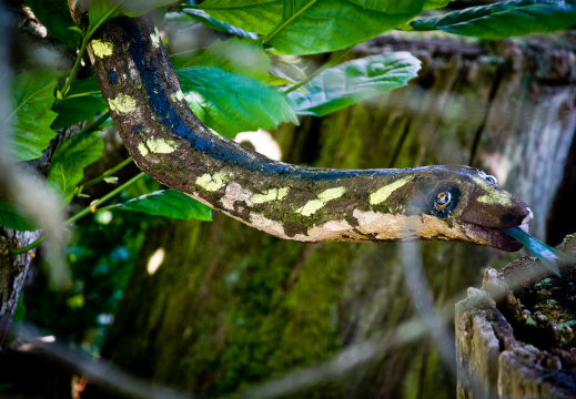 20130628 DSC 6552 1000