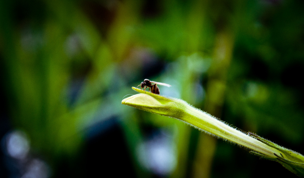 20130823 DSC 6676 1000