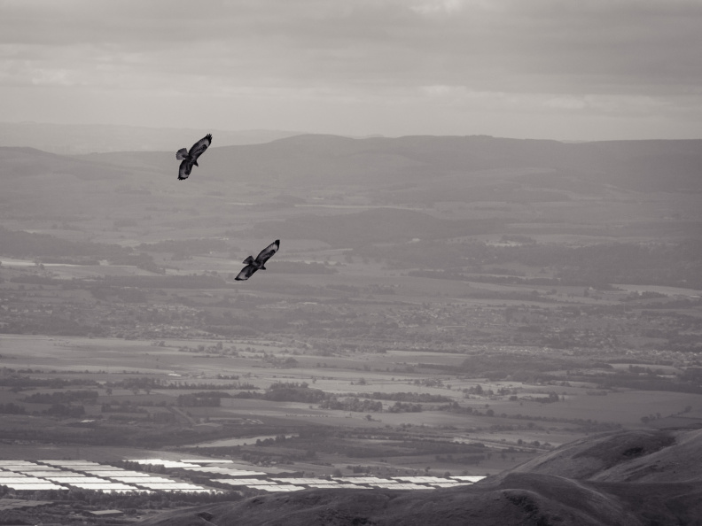 20130908 DSC 6745 1000