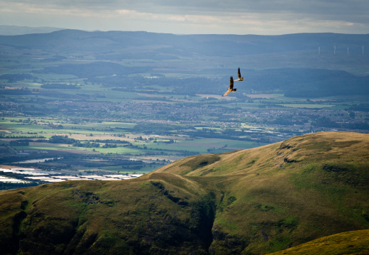 20130908 DSC 6746 1000