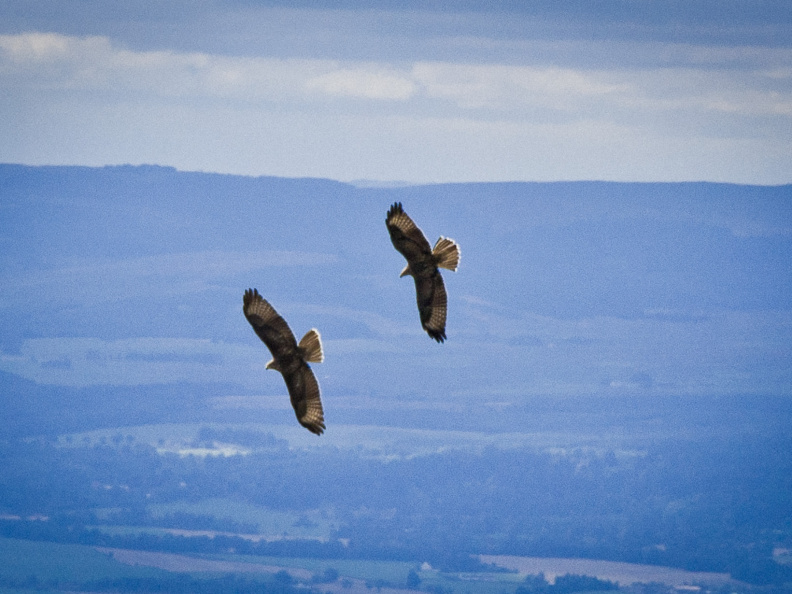 20130908 DSC 6747 1000