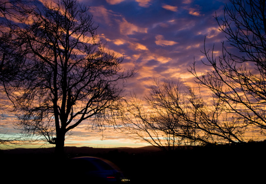 20131128 DSC 8020 1000