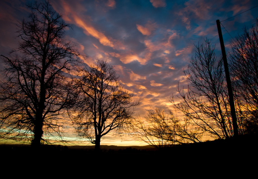 20131128 DSC 8022 1000