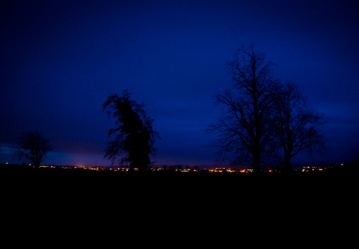 20131214 DSC 8035 1000