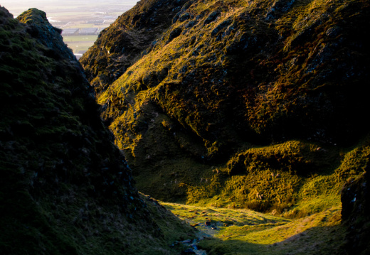 20140101 DSC 8049 1000