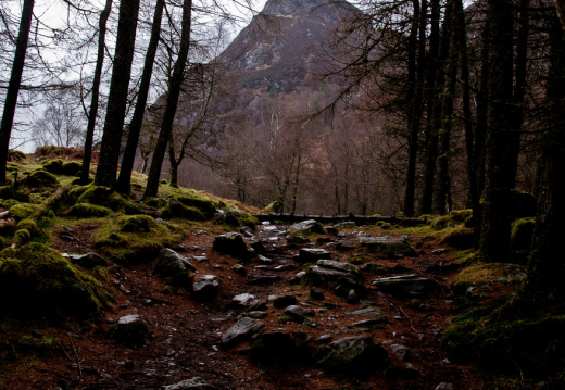 20140308 DSC 8902 1000