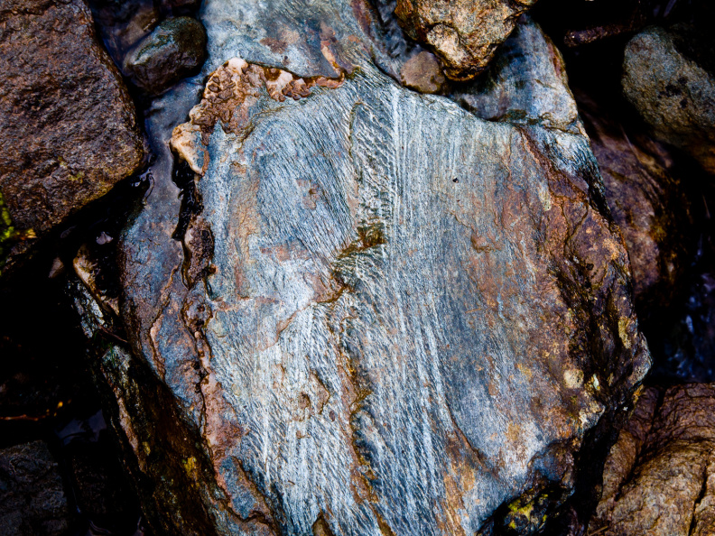 20140308 DSC 8919 1000