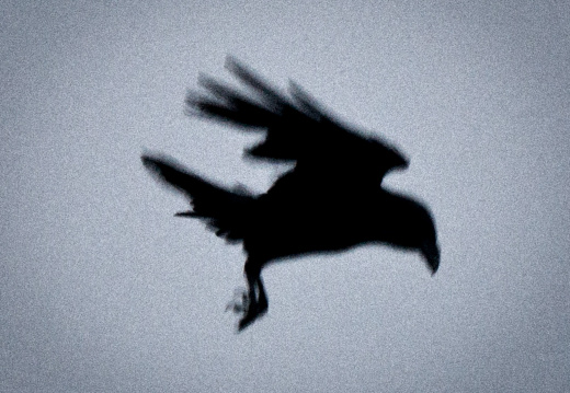 20140308 DSC 8940 1000