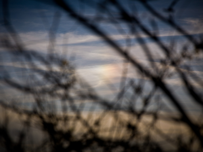 20140311 DSC 8974 1000