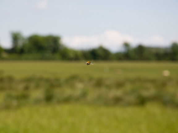 20140701 DSC 0708 1000