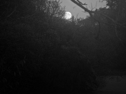 20141105 DSC 1647 1000