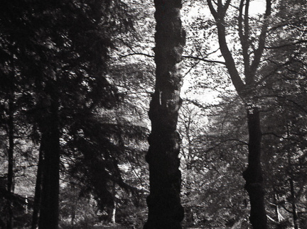 20171101 OM40 trix 023 1000