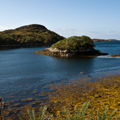 20140920 DSC 1114 1000