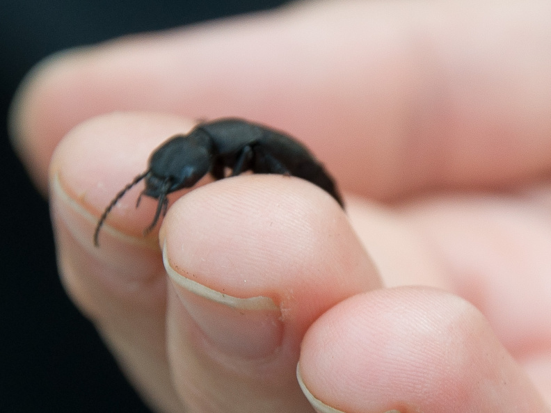 20140920 DSC 1132 1000