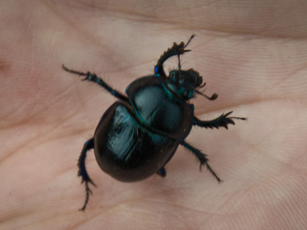 20140920 DSC 1140 1000