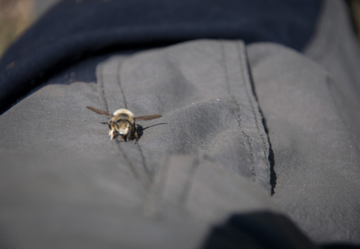 20140612 DSC 9348 1000