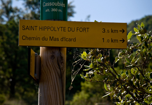 20140613 DSC 9411 1000