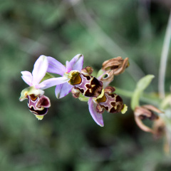 20140614 DSC 9648 1000