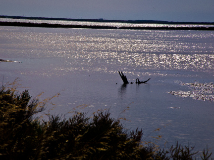 20140622 DSC 0582 1000