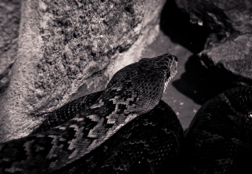 20140623 DSC 0620 1000