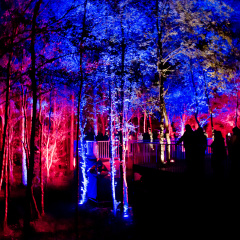 20151001 DSC 3759 1000