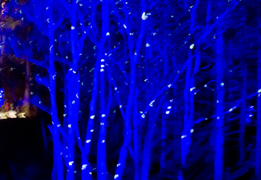 20151001 DSC 3767 1000