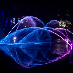 20151001 DSC 3775 1000