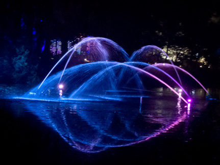 20151001 DSC 3775 1000