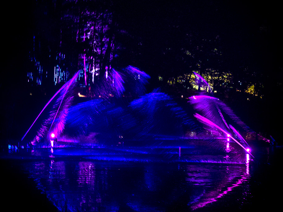 20151001 DSC 3777 1000