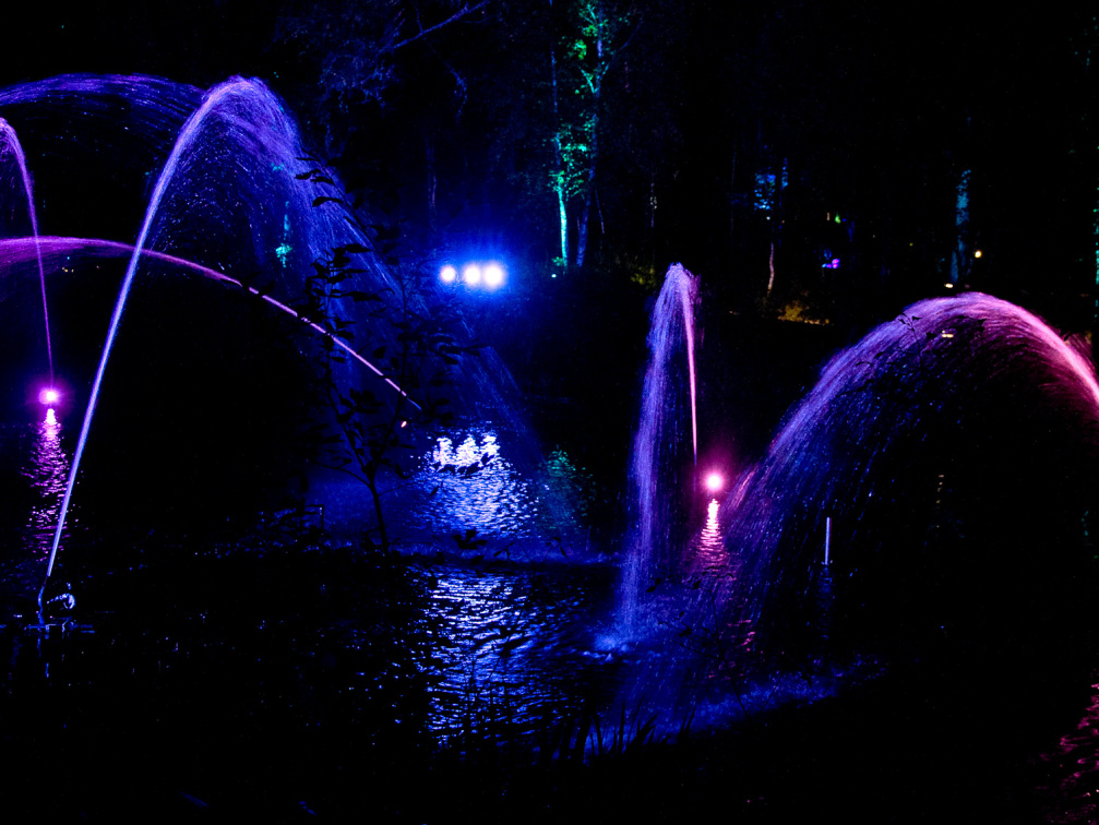 20151001 DSC 3785 1000