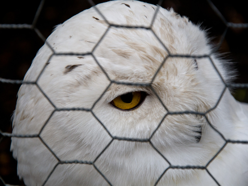 20130209 DSC 5005 1000