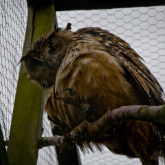 20130209 DSC 5027 1000