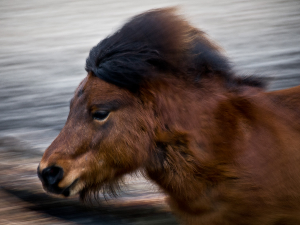 20130209 DSC 5258 1000