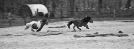 20130209 DSC 5259 1000