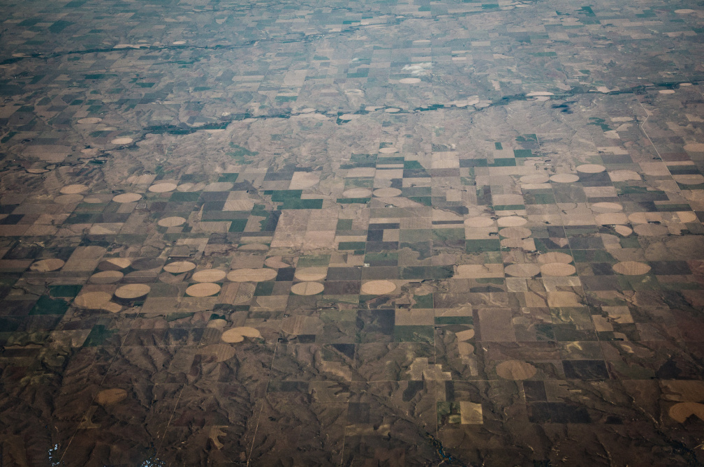 20131031 DSC 6990 1000