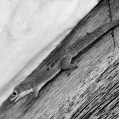 20131103 DSC 7101 1000