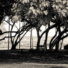 20131107 DSC 7213 1000