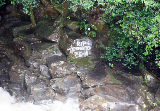 20131112 DSC 7684 1000