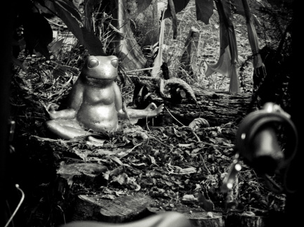 20131114 DSC 7917 1000