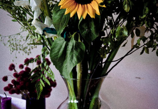 20131114 DSC 7923 1000