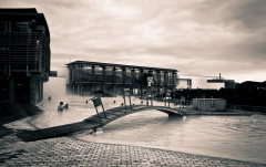 20140221 DSC 8214 1000